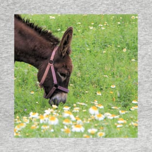 Happy Donkey T-Shirt